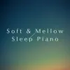Relaxing BGM Project - Soft & Mellow Sleep Piano
